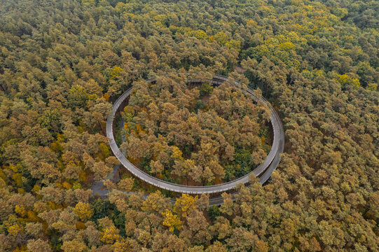Aerial view of Cycling through the Trees, a circular elevated bicycle path winding through a dense forest with autumn-colored foliage in Hechtel-Eksel, Vlaanderen, Belgium.
