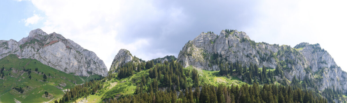 View of the Cornettes de Bise mountain range with rocky peaks, lush green slopes, and coniferous forests under a cloudy sky in La Chapelle-d'Abondance, Auvergne-Rhone-Alpes, France.