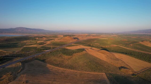 Aerial view of the historic Lydian Tumuli of Bin Tepe surrounded by agricultural fields and orchards under a clear sky in Salihli, Manisa, Turkiye.