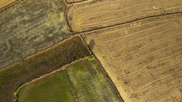 Aerial view of agricultural rice fields with varying soil textures, irrigation patterns, and a small green tree in Iloilo, Iloilo, Philippines.