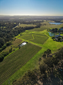 Aerial view of vineyards in the Hunter Region with rows of grapevines, small ponds, and surrounding trees in Pokolbin, New South Wales, Australia.