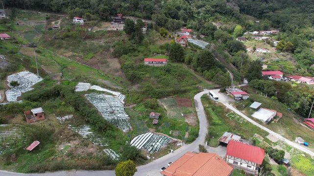 Aerial view of Colonia Tovar with red-roofed houses, winding roads, and agricultural plots in Colonia Tovar, Aragua, Venezuela.