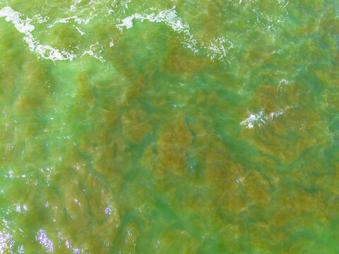 Aerial view of the turquoise waters of Pantai Sungai Suci with swirling patterns of green algae and sediment near the coastline in Kecamatan Pondok Kelapa, Bengkulu, Indonesia.