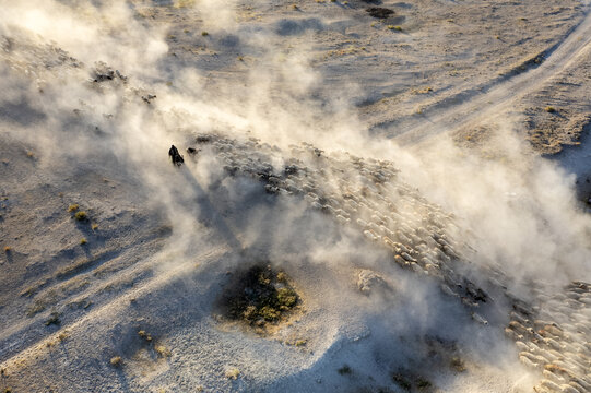 Eregli, Turkiye - 06 August 2025: Aerial view of a shepherd herding a large flock of sheep across a dry, dusty landscape, kicking up clouds of dust under the warm sunlight.