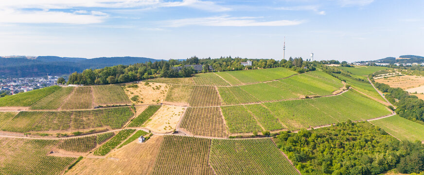 Aerial view of the Petrisberg district featuring lush green vineyards, rolling hills, and scattered buildings in Trier, Rheinland-Pfalz, Germany.