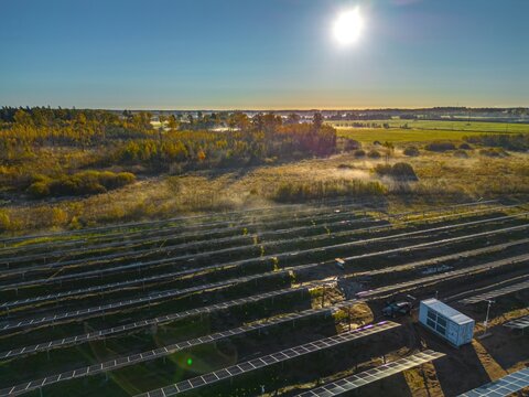 Aerial view of a solar farm with rows of photovoltaic panels set in a rural landscape during the golden hour with morning mist in Riga, Latvia.