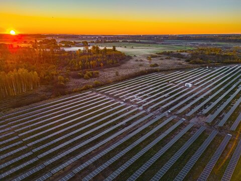 Aerial view of a solar farm with rows of photovoltaic panels at sunrise with golden light and surrounding forest in Riga, Latvia.