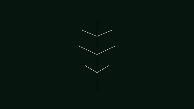 Minimalist line leaf animation: botanical 4k motion
