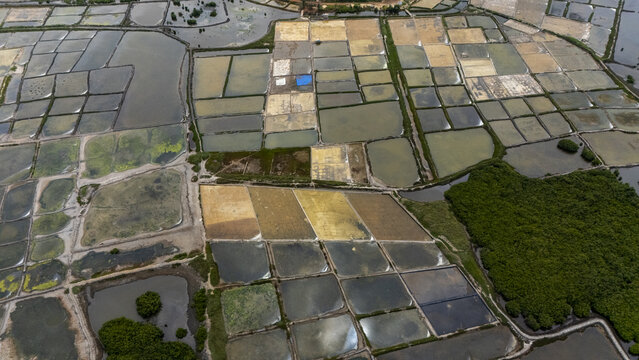 Aerial view of salt pans with geometric ponds in varying shades of water and surrounding mangroves in Cape Coast, Central Region, Ghana.