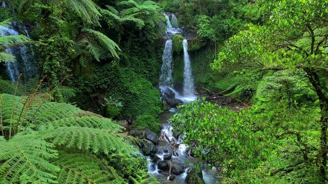 Aerial view of Curug Grenjengan Kembar waterfall surrounded by lush tropical rainforest and vibrant green ferns in Kecamatan Pakis, Jawa Tengah, Indonesia.