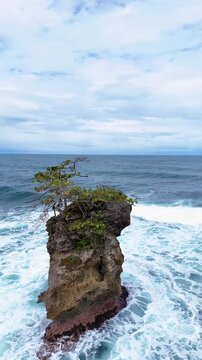 Aerial view of a rock formation with a tree on top surrounded by crashing waves at Refugio Nacional Gandoca-Manzanillo in Limon, Costa Rica.