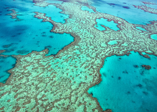 Aerial view of the Great Barrier Reef with vibrant coral formations and turquoise waters in Airlie Beach, Queensland, Australia.