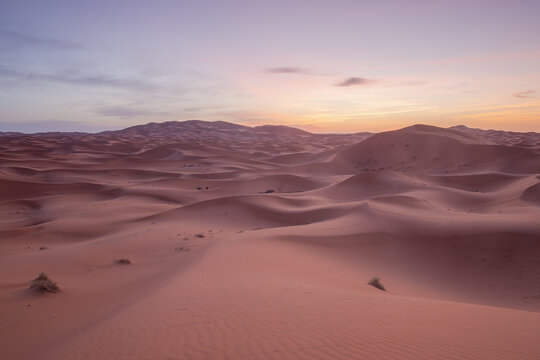View of the vast sand dunes of the Sahara desert under a soft sunset sky in Morocco.