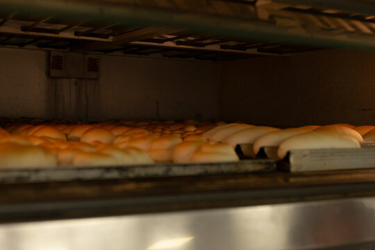 rows of golden bread rolls rise and brown on metal conveyor belt inside dark industrial oven, with low warm light, steel racks, and fresh baked texture during batch