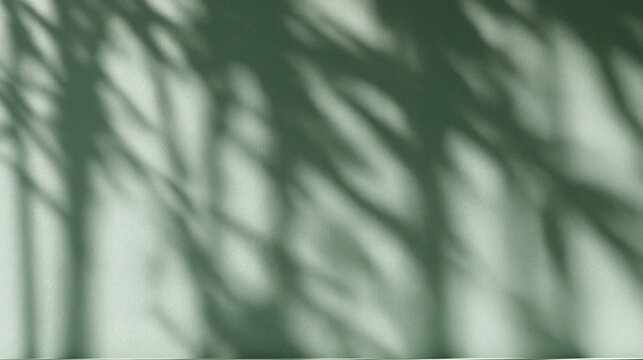 Leaf Shadow Overlay on Green Textured Wall Background