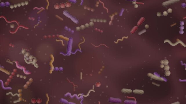 Gut microbiome bacteria ecosystem rod coccus and spiral microbes dividing in mucus seamless loop in soft crimson tones
