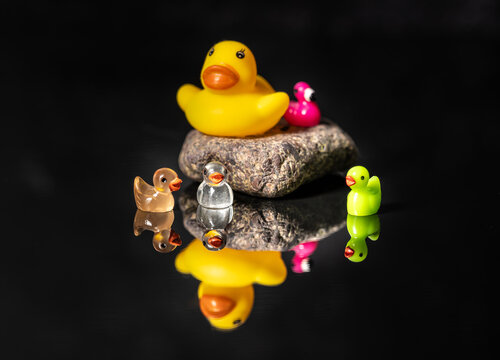 Colorful cute dissimilar mini ducks on a dark black mirror reflecting background surface