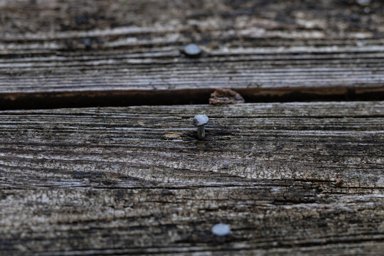 Close up photo of nails sticking out of old distressed gray wood planks background texture.
