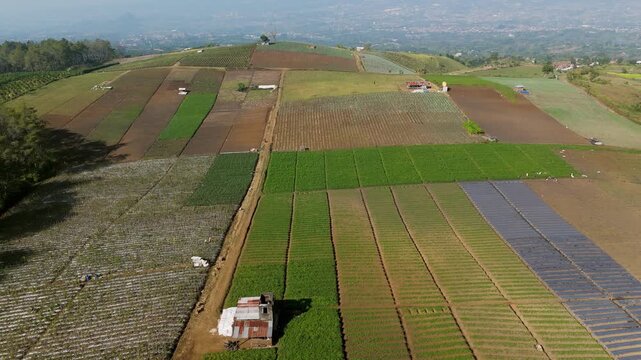 Aerial view of vibrant agricultural fields with small huts and diverse crop patterns in the rural landscape of Batu, East Java, Indonesia.