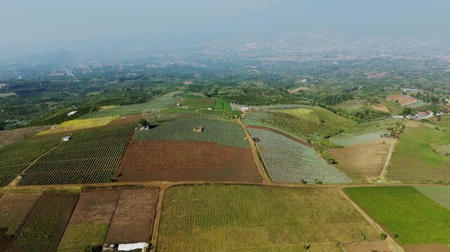 Aerial view of agricultural fields and farmland with patchwork patterns in the rural landscape in Bukit Jengkoang, Batu, East Java, Indonesia.