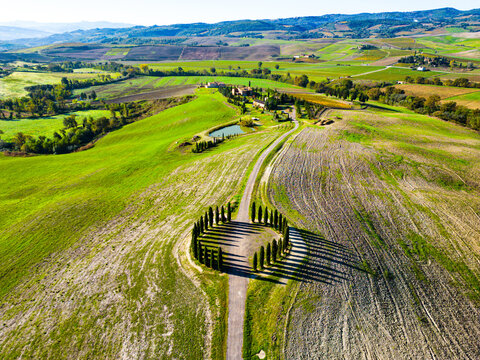 Aerial view of the iconic Cipressi di San Quirico d'Orcia cypress trees forming a circle in the rolling hills of the Val d'Orcia landscape in Montalcino, Toscana, Italy.