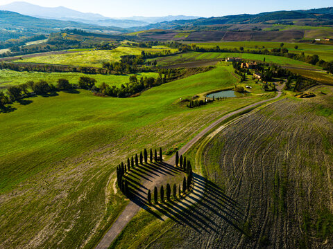 Aerial view of the iconic circular group of cypress trees known as Cipressi di San Quirico d'Orcia set amidst the rolling green hills and rural landscape of Montalcino, Toscana, Italy.