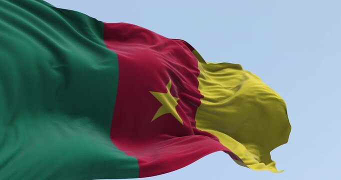 Cameroon national flag waving in the wind