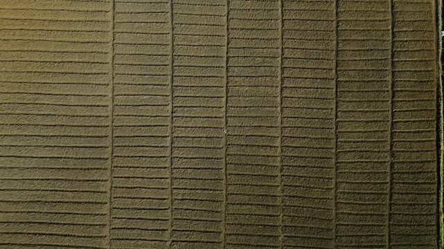 Aerial view of agricultural fields with grid patterns in Batu, East Java, Indonesia.