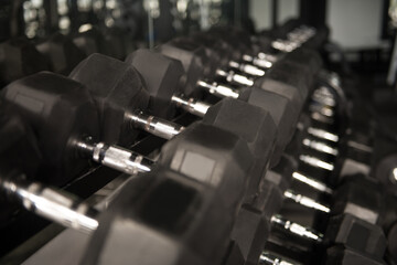 Obraz premium Rows Of Dumbbells In The Gym