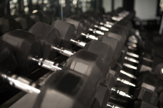 Rows Of Dumbbells In The Gym