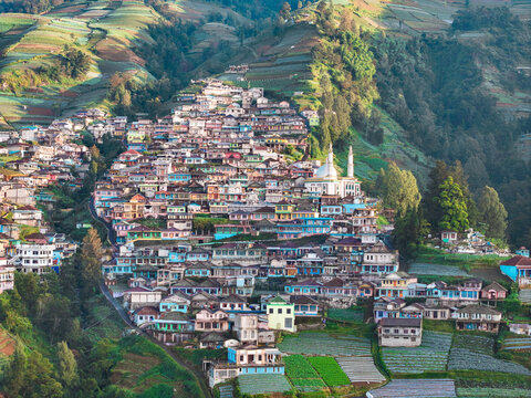 Aerial view of the colorful hillside village with terraced vegetable fields and a mosque nestled on the mountain slopes in Kaliangkrik, Central Java, Indonesia.