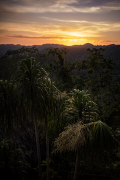 Sunset over the jungle in Eastern Belize, Central America