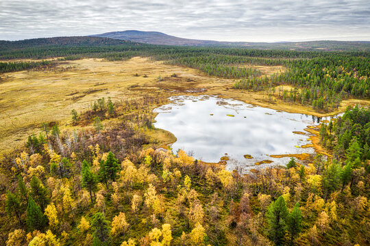 Aerial view of a small lake surrounded by autumn-colored birch forests, coniferous trees, and open tundra landscape in Enontekio, Lapland, Finland.