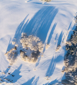 Aerial view of snow-covered landscape with frost-covered trees casting long shadows in the winter sun in Latvia.