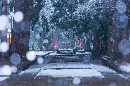 日本の風景・冬　埼玉　雪の小江戸川越　三芳野神社　参道