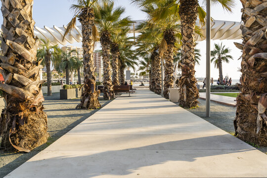 Malaga, Spain - 10 January 2020: View of the Palmeral de las Sorpresas promenade with rows of palm trees and modern white pergolas in the port area.