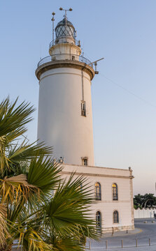 View of the historic La Farola de Malaga lighthouse with its white tower and palm tree in the foreground in Malaga, Andalusia, Spain.