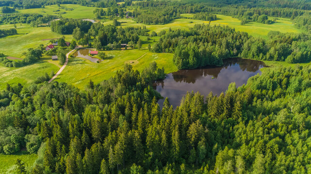 Aerial view of a lush green landscape featuring a small dark lake surrounded by dense coniferous and deciduous forests, rolling meadows, and a small rural property in Latvia.