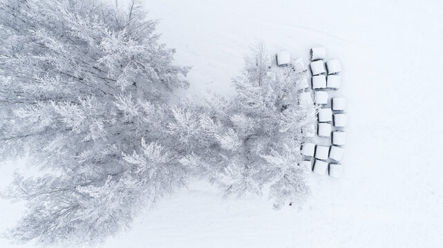 Aerial view of snow-covered trees and hay bales in a winter landscape in Latvia.