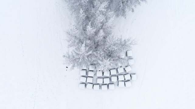 Aerial view of snow-covered hay bales arranged in a field next to frost-covered trees in winter LATVIA.