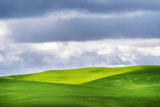 Green grass field of rolling hills, with storm clouds, 