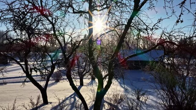 Aerial view of a snow-covered landscape with bare trees and bright sun flare in Latvia.