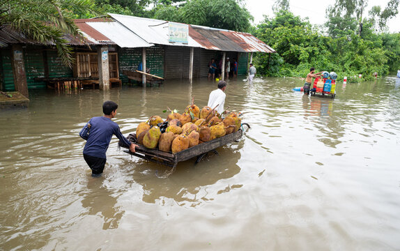 Banshkhali Upazila, Chittagong Division, Bangladesh - 10 July 2026: View of a man pushing a cart of jackfruits through a flooded street with submerged shops and people wading.