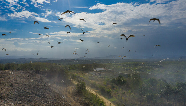 Aerial view of Vertedero Duquesa landfill with a flock of birds flying over the site amidst smoke and rural vegetation under a cloudy sky in Pantoja, Santo Domingo, Dominican Republic.