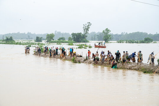 Chattogram, Chittagong Division, Bangladesh - 11 July 2026: View of local fishermen using nets in flooded waters during the monsoon season with lush green trees in the background.