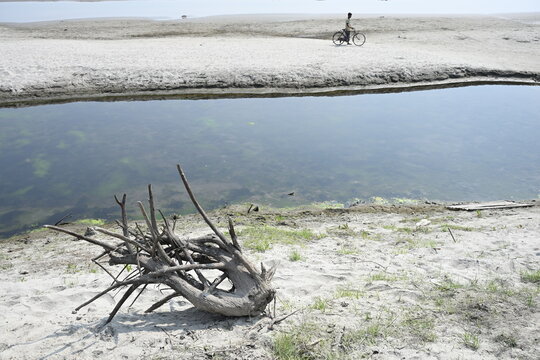 Gaibandha District, Rangpur Division, Bangladesh - 15 July 2026: View of Char Krishnamani with a dead tree stump on the sandy riverbank and a person riding a bicycle in the distance.