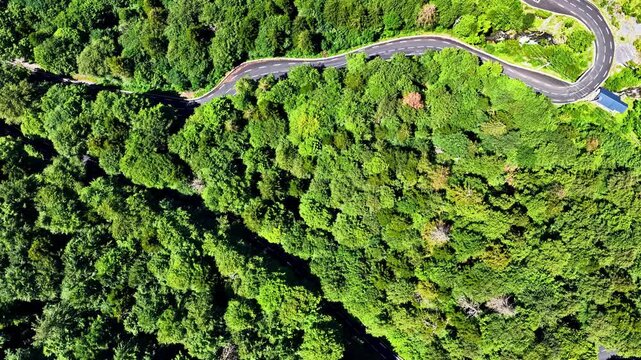 Aerial view of a winding mountain road through the dense forest of Col d'Aubisque in Beost, Nouvelle-Aquitaine, France.