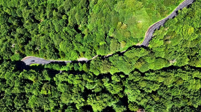 Aerial view of the winding road through the dense green forest at Col d'Aubisque in Beost, Nouvelle-Aquitaine, France.