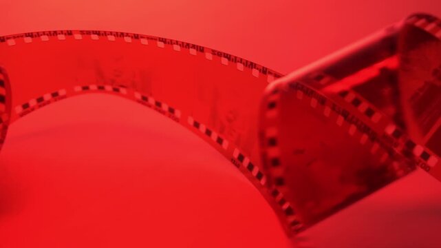35mm negative photographic film in rotation in red room, camera darkroom. Slightly rolled film strip isolated on red background. Analog film strips. Analog photography. Close-up
