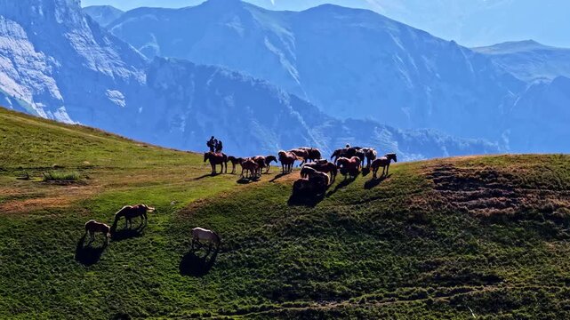 Aerial view of horses grazing on the grassy slopes of Col d'Aubisque in Beost, Nouvelle-Aquitaine, France.